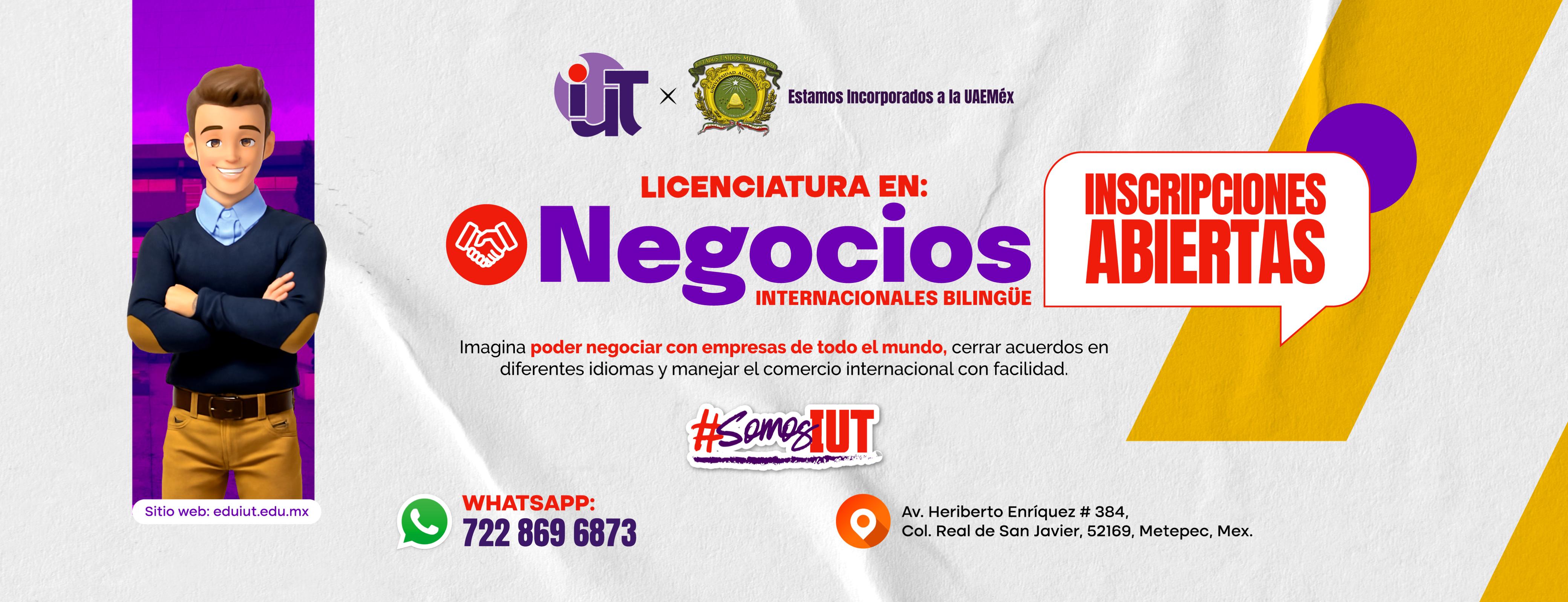 Negocios Internaciconales Bilingüe